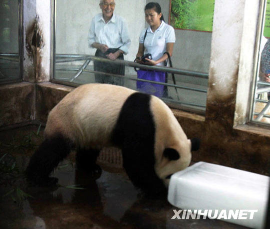 武漢動物園投放冰決降溫[組圖]