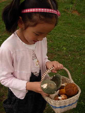 云南野生動物園菌子免費采