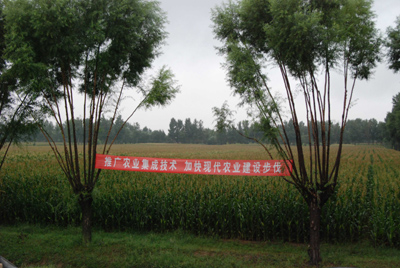 種養(yǎng)互補(bǔ)：榆陽(yáng)區(qū)馬合鎮(zhèn)走出農(nóng)民增收新路子